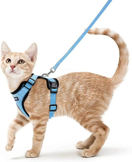 Cat Harness Leash